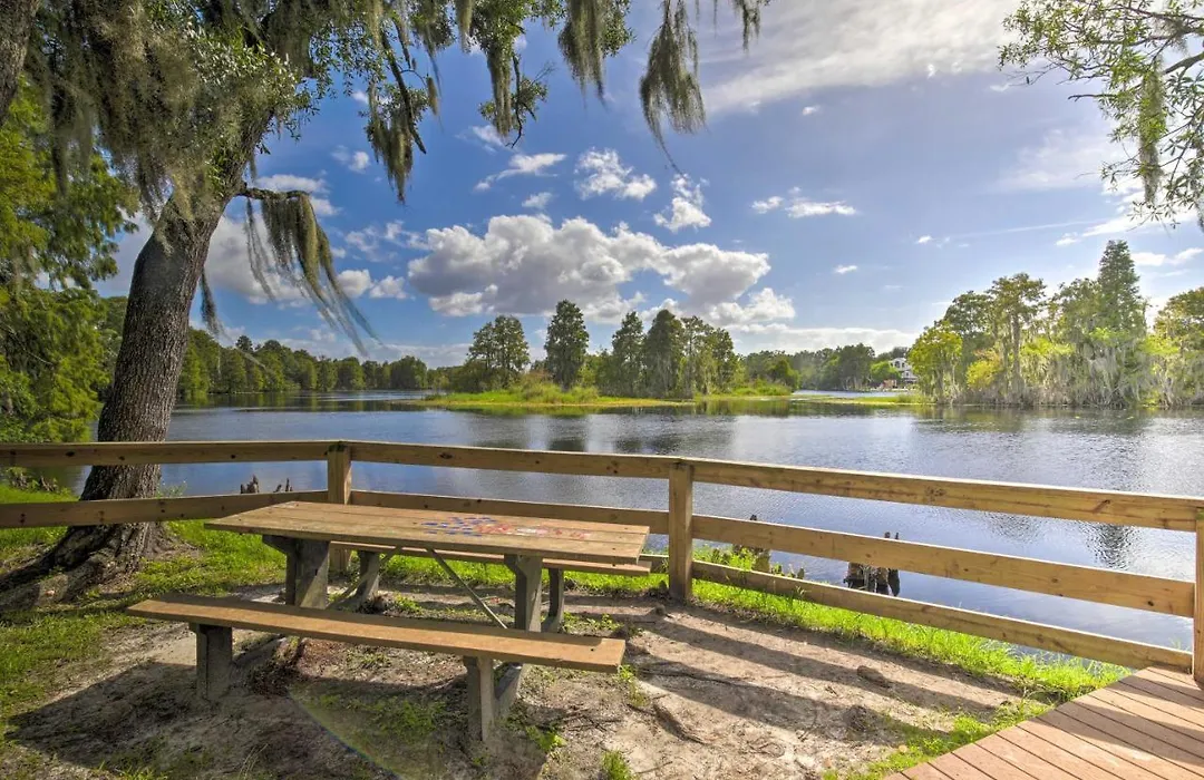 Well-Appointed Tampa Home 4 Mi To Usf Campus-1